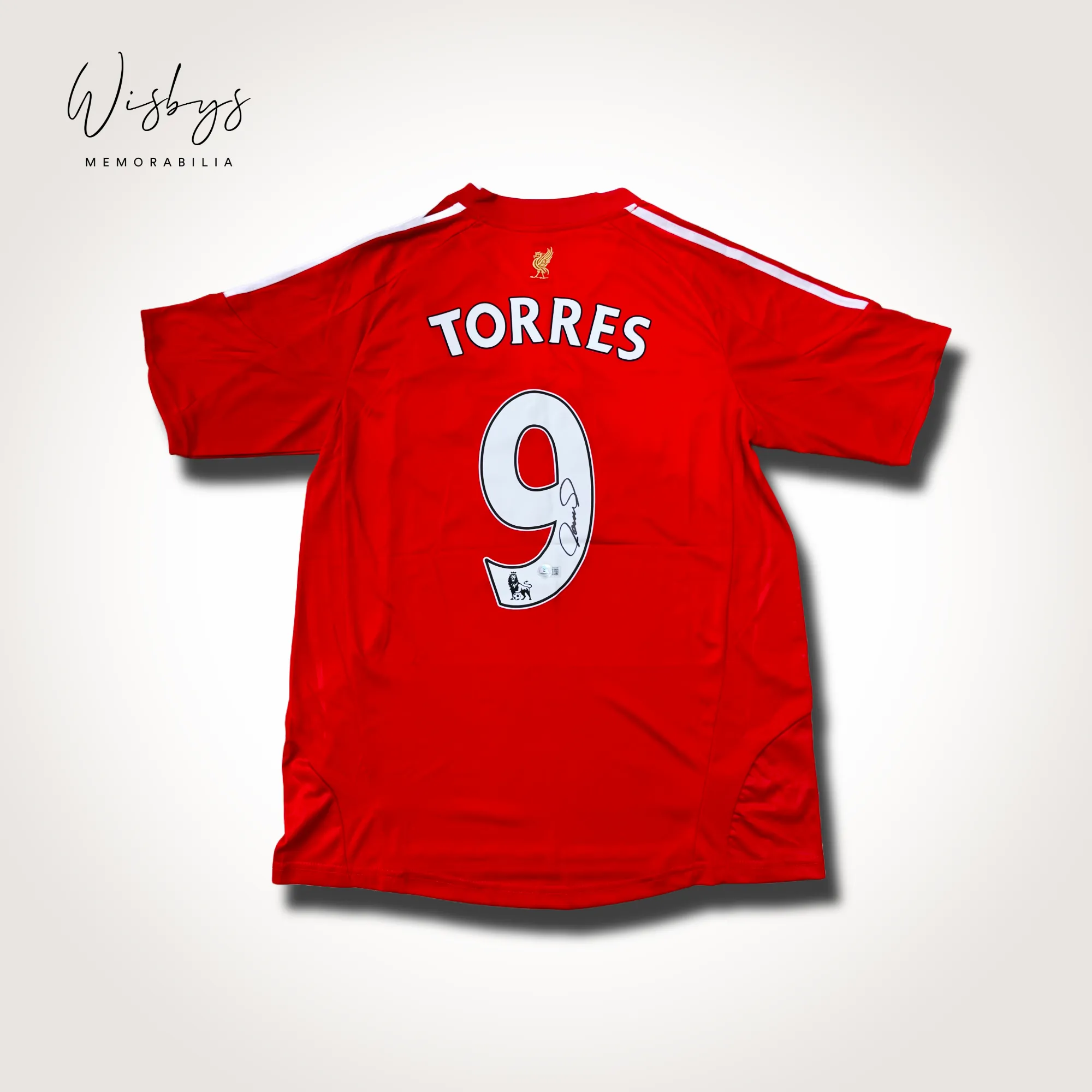 Fernando Torres Liverpool jersey