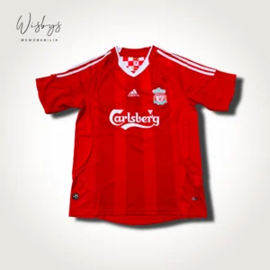 Fernando Torres Liverpool jersey, view 2