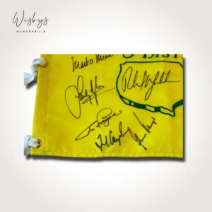 Tournament pin flag, view 2
